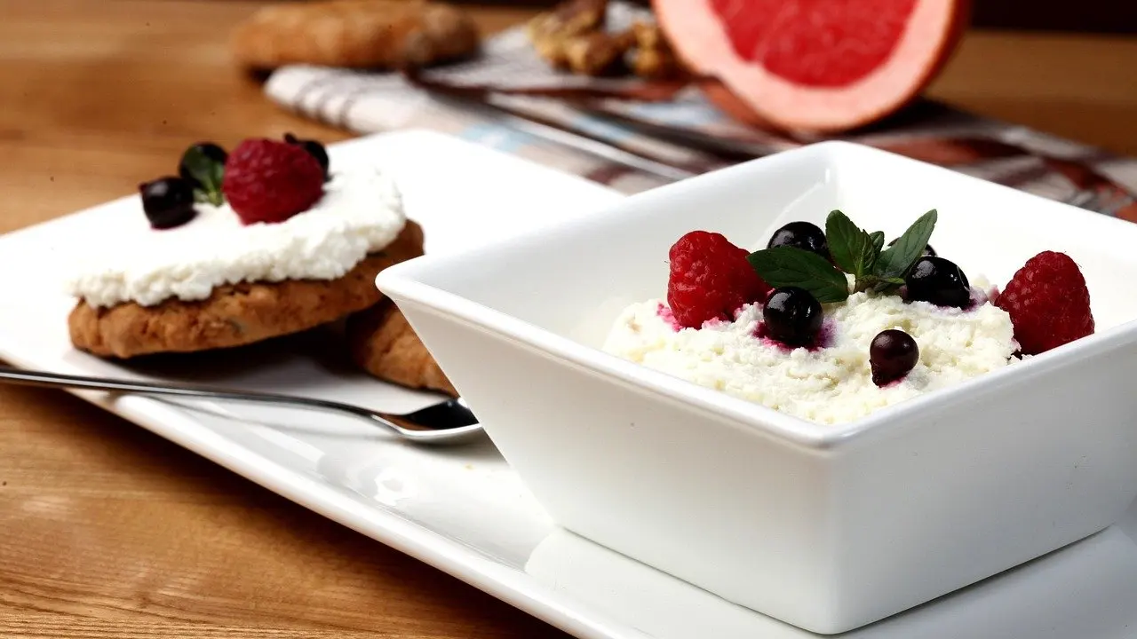healthy protein snack ideas