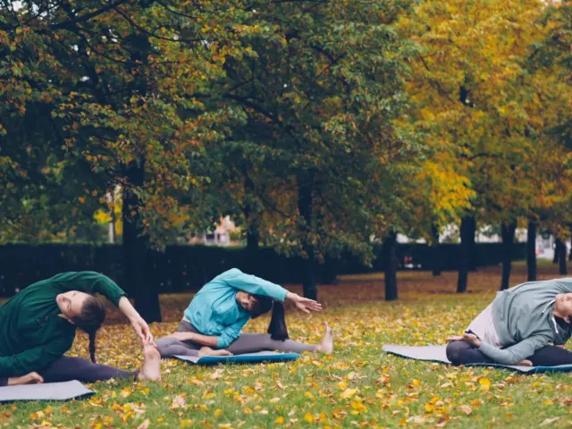 Lotsofpower community wellness